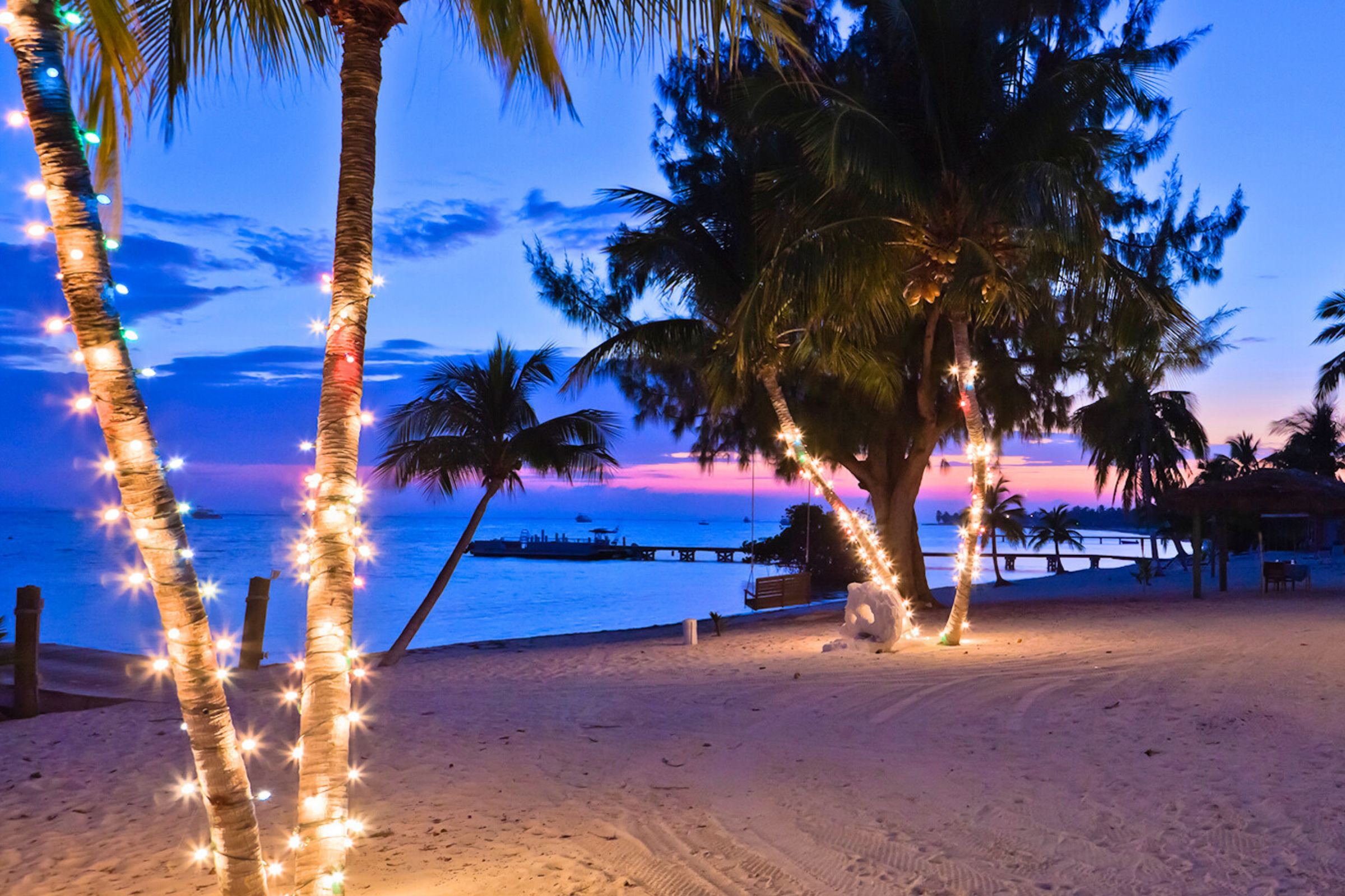 134 christmas island.webp